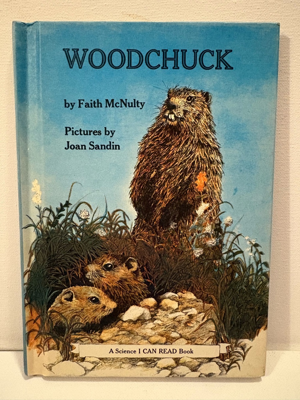 WOODCHUCK by Faith McNulty & Joan Sandin 1974 "I Can Read Vintage kids book